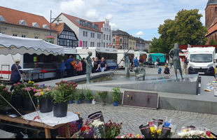 Wochenmarkt Ribnitz-Damgarten