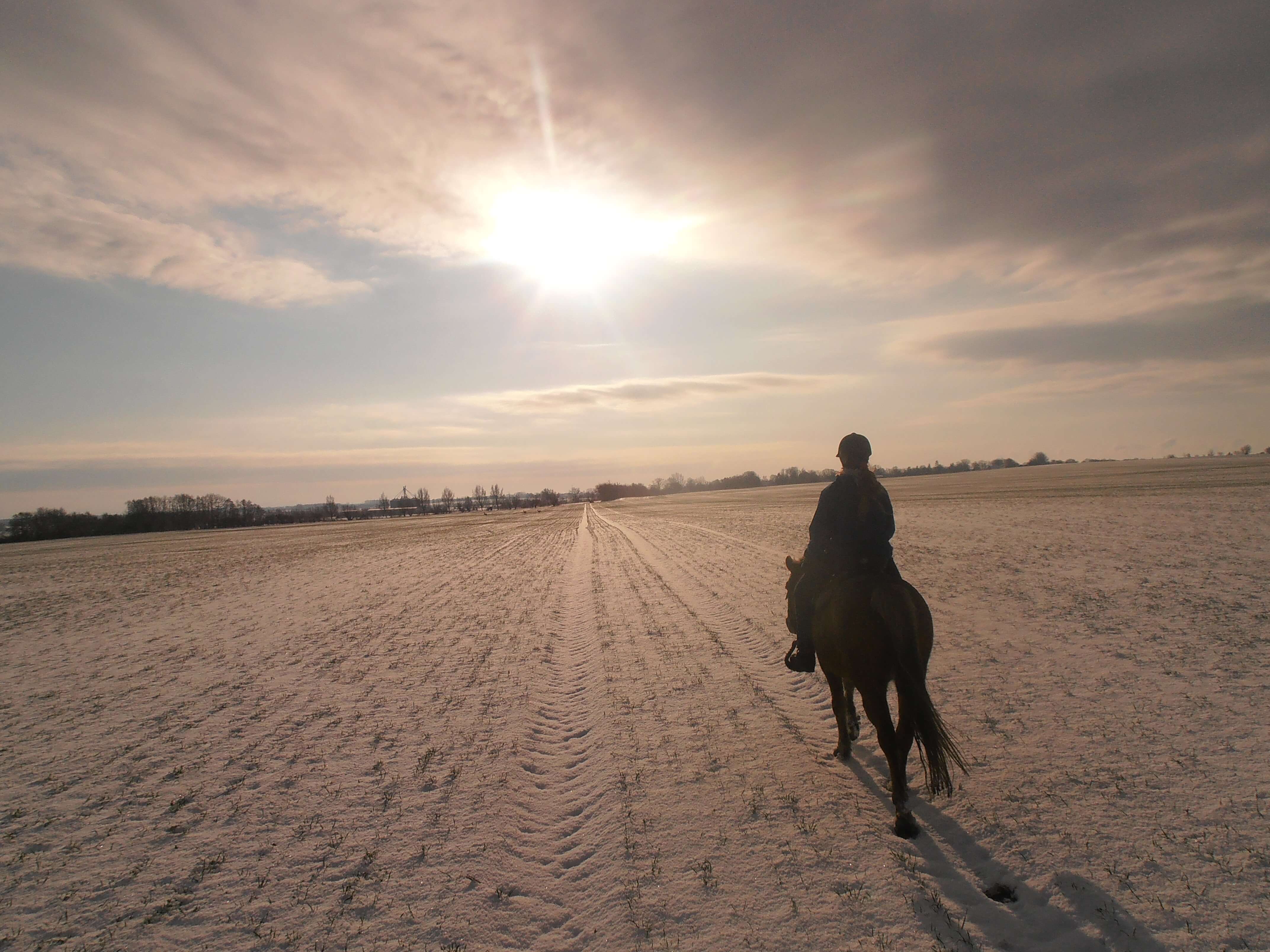 Aktiv reiten in den Sonnenuntergang -  Reiterhof Reinecke