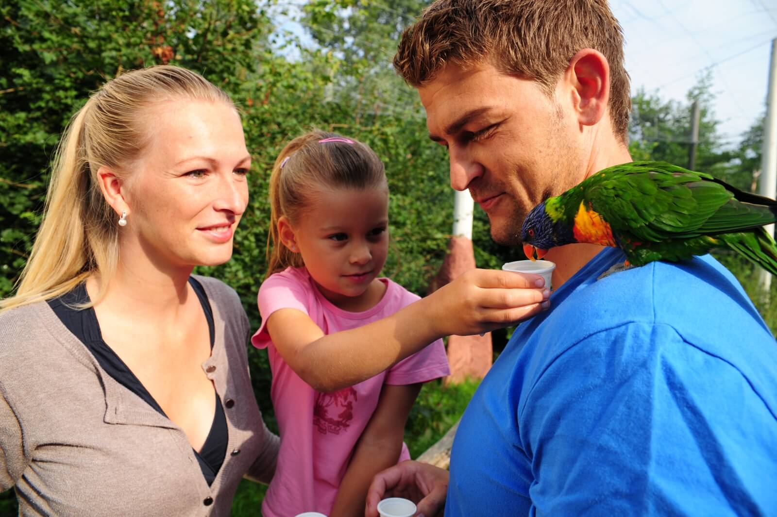 Lori, Familie, Kind, Vater, Mutter, Vogel füttern, Vogelpark Marlow