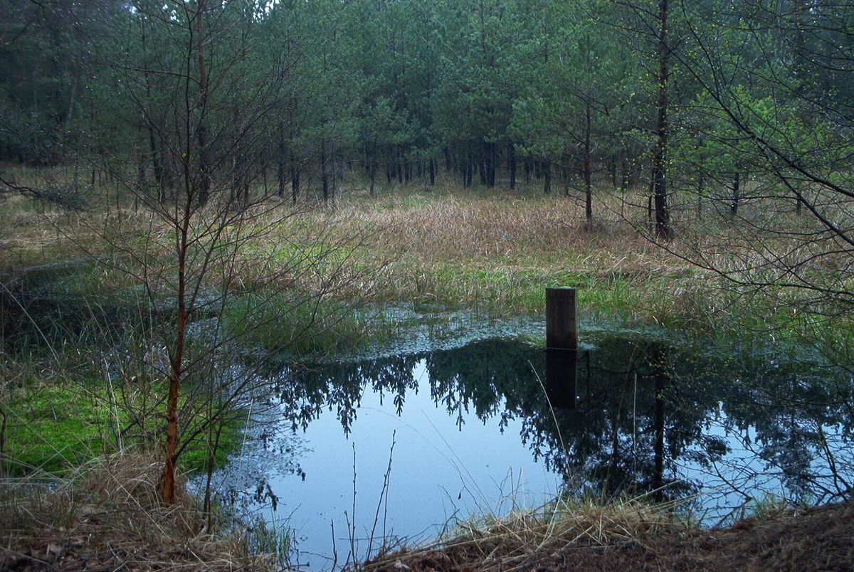 Infozentrum Wald & Moor