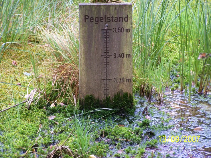 Infozentrum Wald & Moor