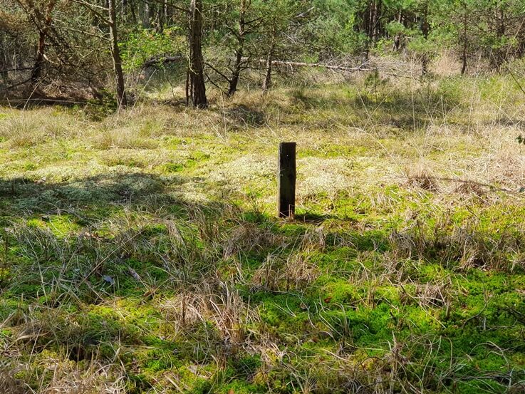 Infozentrum Wald & Moor