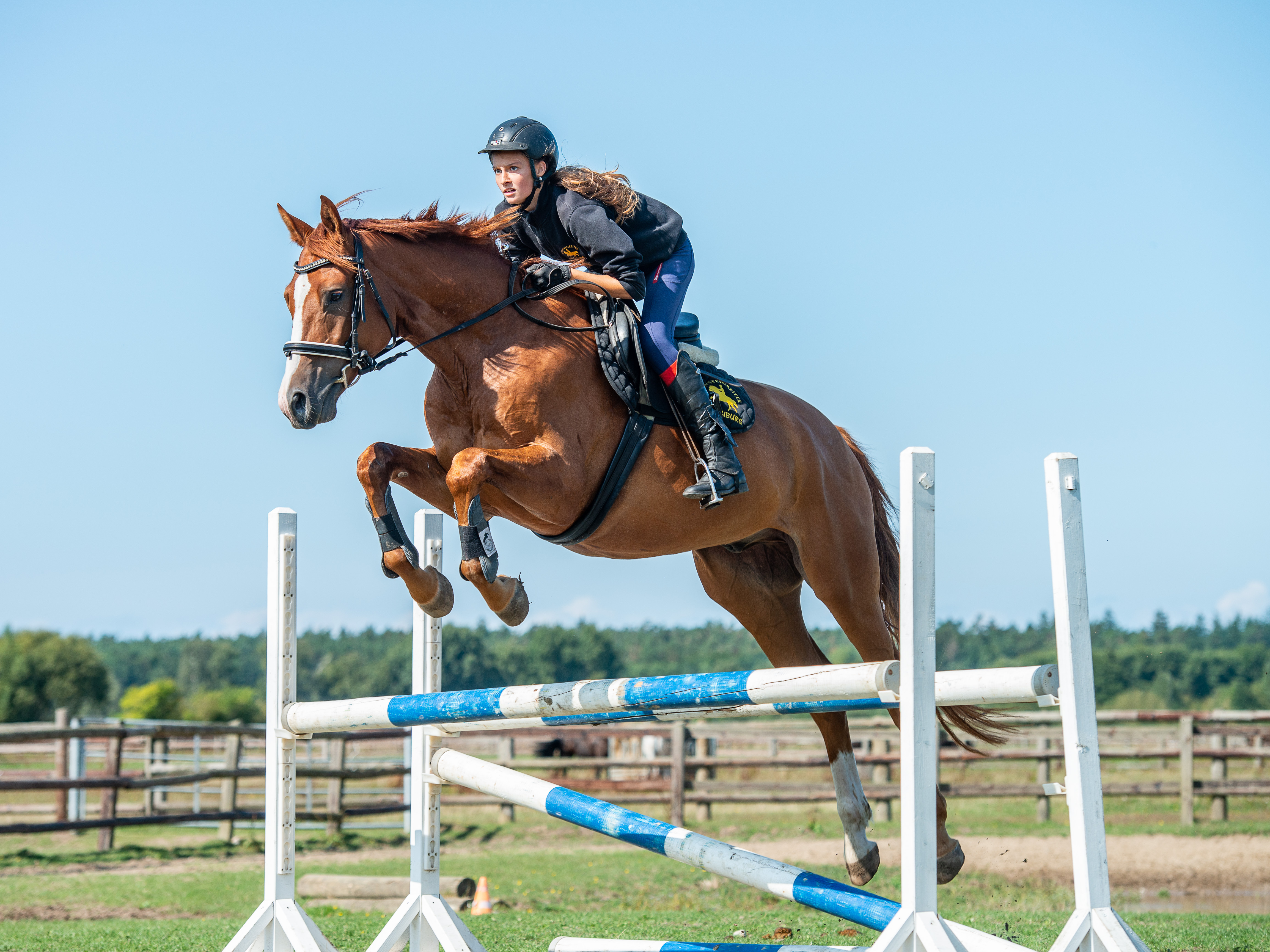 Springreiterwochenende