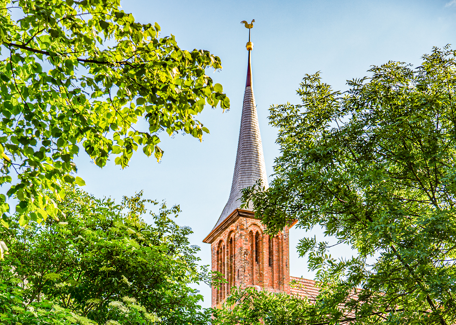 Sonntagskonzert in der Klosterkirche